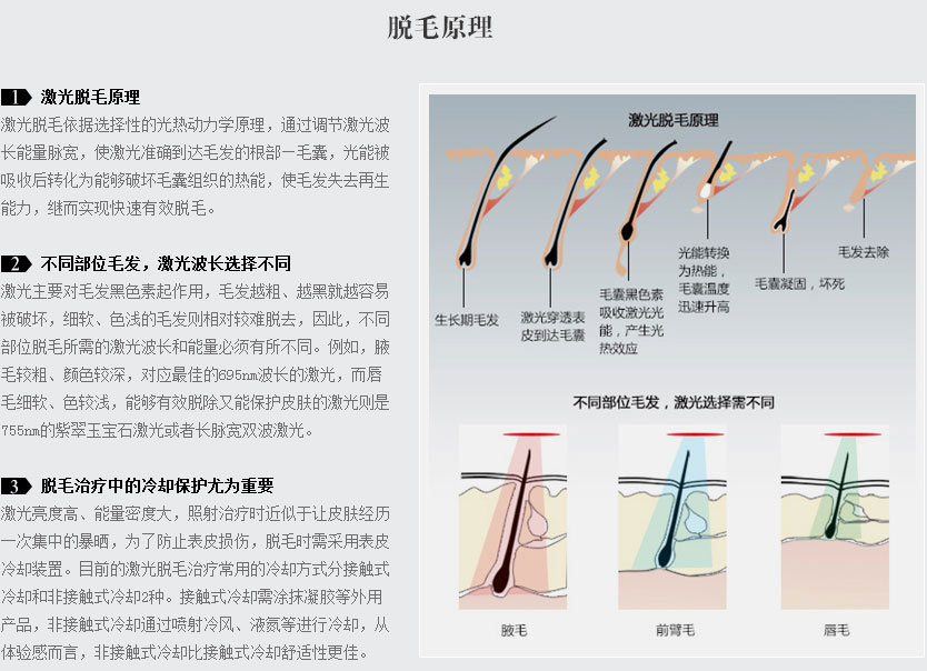 脱毛原理